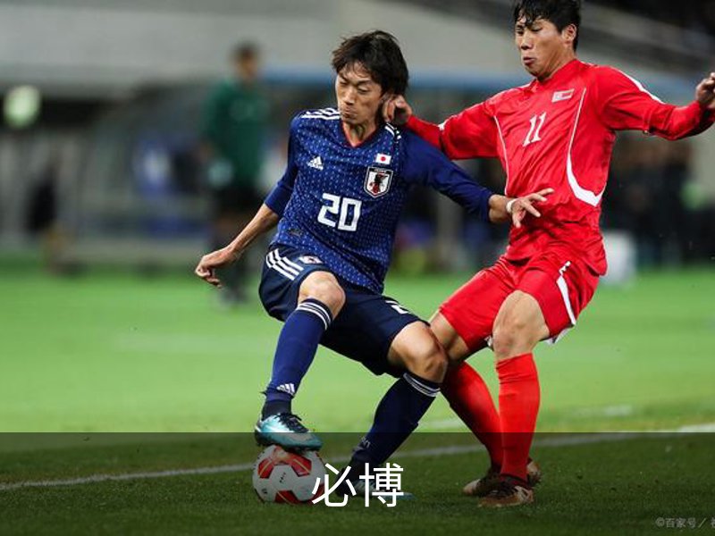 了解必博